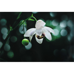 OMデジタルソリューションズ賞